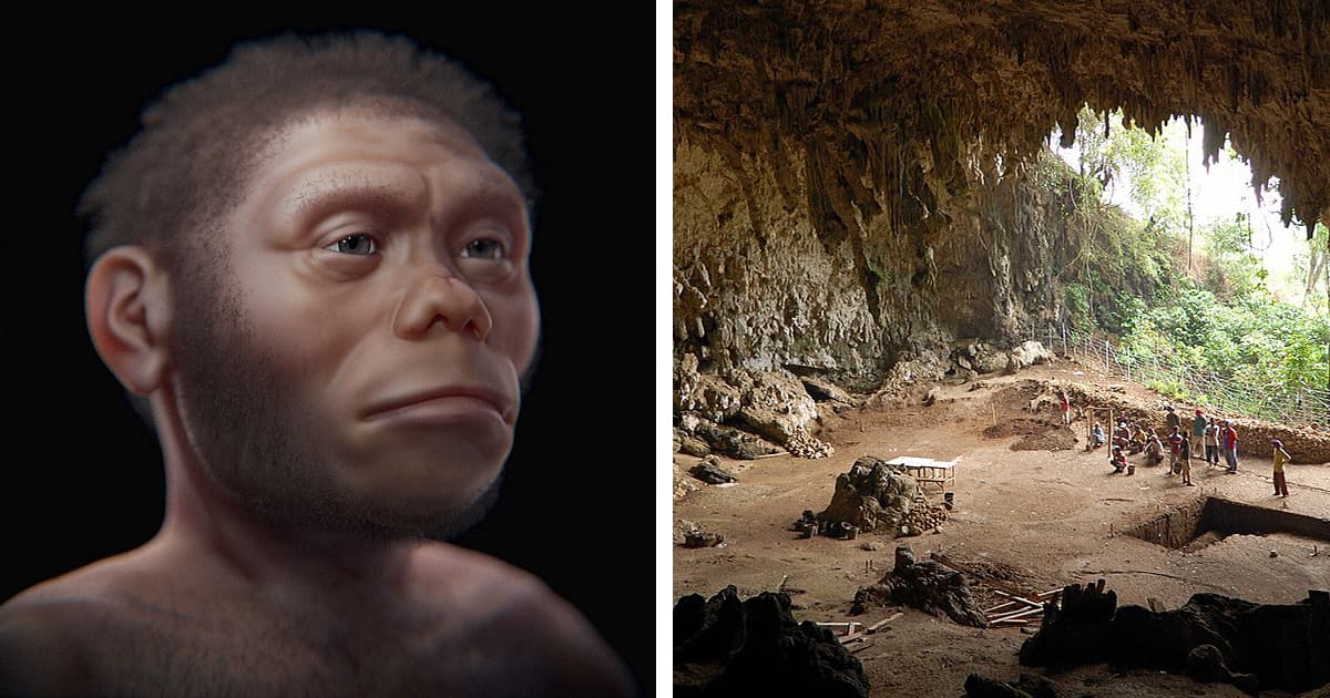 Homo floresiensis