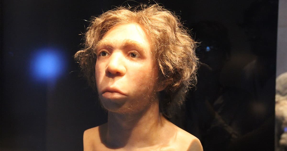 Reconstruction of a Neanderthal forager selecting medicinal plants in a river valley